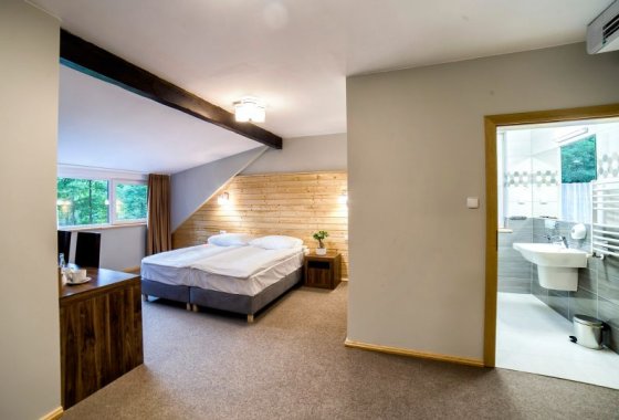 hotel *** - Hotel *** Dworek Wapionka - Pokoje - zdjęcie 23