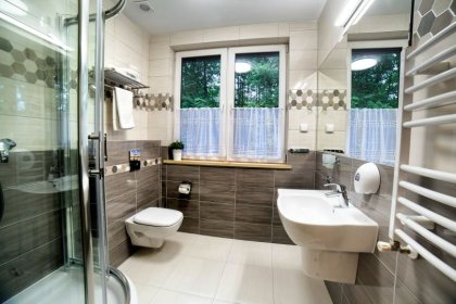hotel *** - Hotel *** Dworek Wapionka - zdjęcie 25