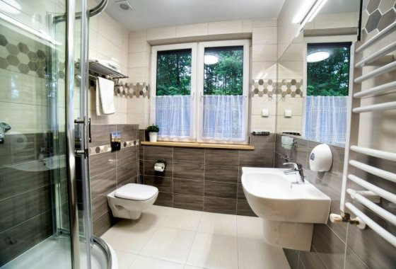 hotel *** - Hotel *** Dworek Wapionka - Pokoje - zdjęcie 8