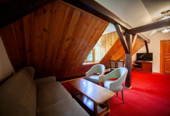 hotel *** - Hotel *** Dworek Wapionka - Pokoje - zdjęcie 17