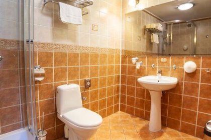 hotel *** - Hotel *** Dworek Wapionka - zdjęcie 29