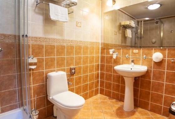 hotel *** - Hotel *** Dworek Wapionka - Pokoje - zdjęcie 11