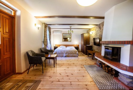hotel *** - Hotel *** Dworek Wapionka - Pokoje - zdjęcie 1