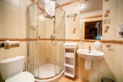 hotel *** - Hotel *** Dworek Wapionka - zdjęcie 23
