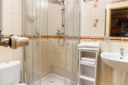 hotel *** - Hotel *** Dworek Wapionka - zdjęcie 24