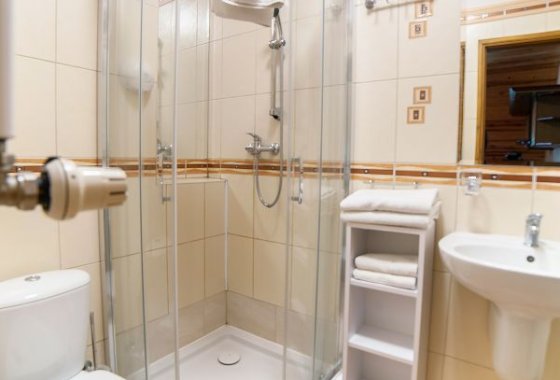 hotel *** - Hotel *** Dworek Wapionka - Pokoje - zdjęcie 7
