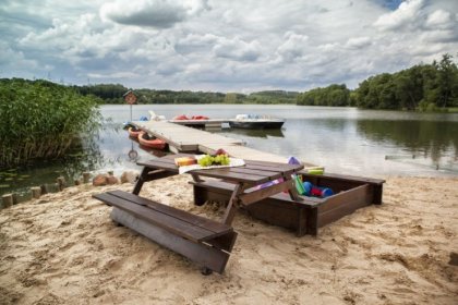 hotel *** - Hotel *** Dworek Wapionka - zdjęcie 49
