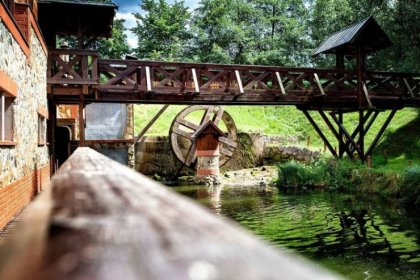 hotel *** - Hotel *** Dworek Wapionka - zdjęcie 48