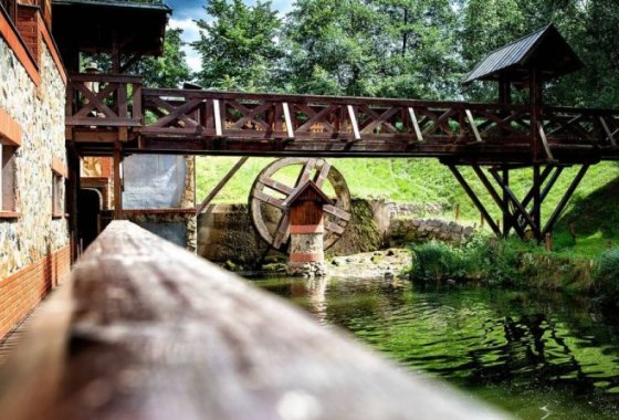 hotel *** - Hotel *** Dworek Wapionka - Usługi - zdjęcie 8