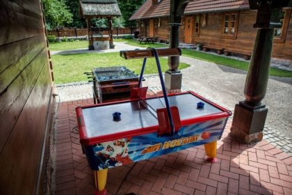 hotel *** - Hotel *** Dworek Wapionka - zdjęcie 47