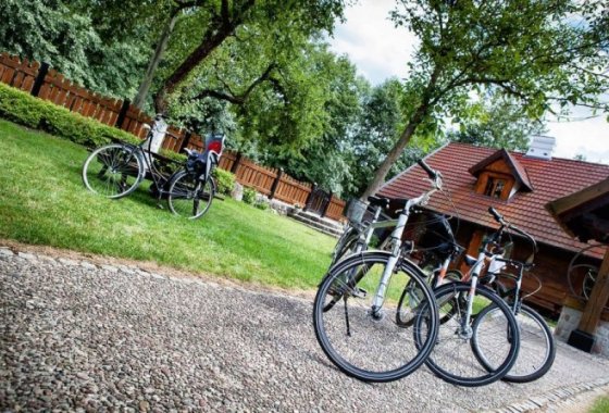 hotel *** - Hotel *** Dworek Wapionka - Usługi - zdjęcie 12