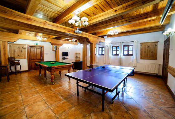 hotel *** - Hotel *** Dworek Wapionka - Usługi - zdjęcie 1