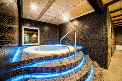 hotel *** - Hotel *** Dworek Wapionka - zdjęcie 44