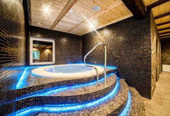 hotel *** - Hotel *** Dworek Wapionka - Usługi - zdjęcie 4