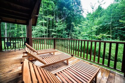 hotel *** - Hotel *** Dworek Wapionka - zdjęcie 45