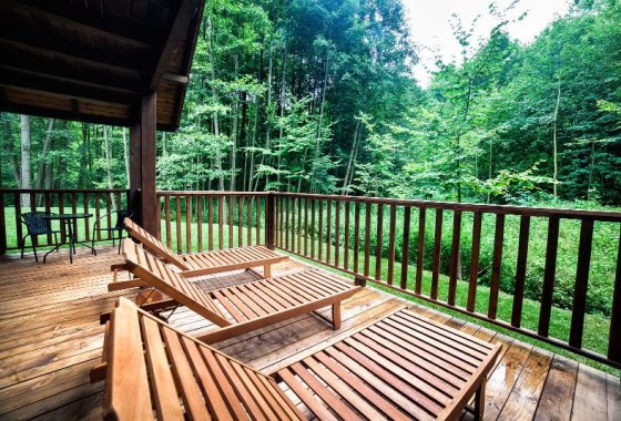 hotel *** - Hotel *** Dworek Wapionka - Usługi - zdjęcie 5