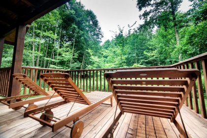 hotel *** - Hotel *** Dworek Wapionka - zdjęcie 43