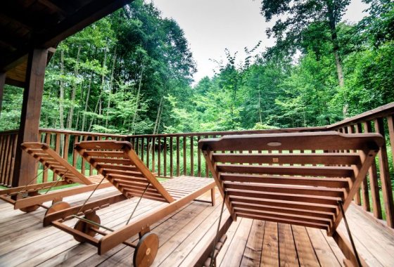 hotel *** - Hotel *** Dworek Wapionka - Usługi - zdjęcie 3