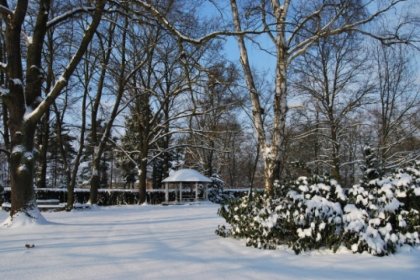 hotel *** - Hotel Janków Iłowa - zdjęcie 6