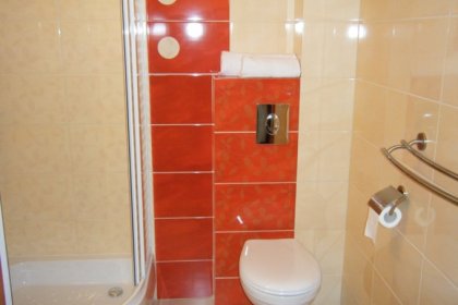 hotel *** - Hotel Leszczyński*** - zdjęcie 9