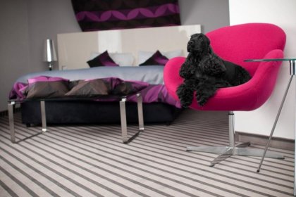 hotel *** - NoBo Hotel*** - zdjęcie 5