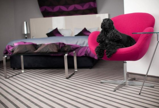 hotel *** - NoBo Hotel*** - Pokoje - zdjęcie 1