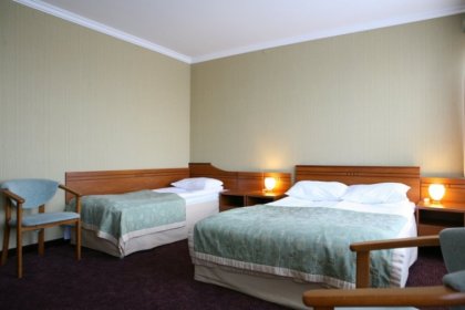 hotel *** - Hotel Złoty Młyn*** - zdjęcie 6