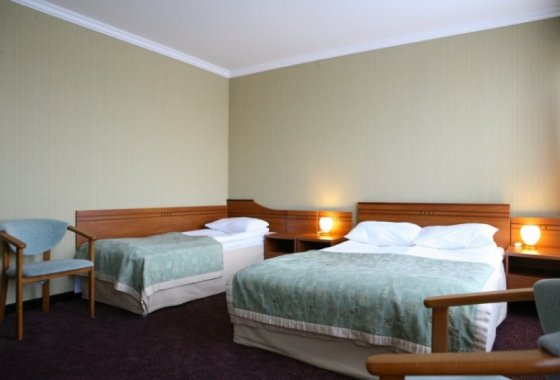 hotel *** - Hotel Złoty Młyn*** - Pokoje - zdjęcie 2