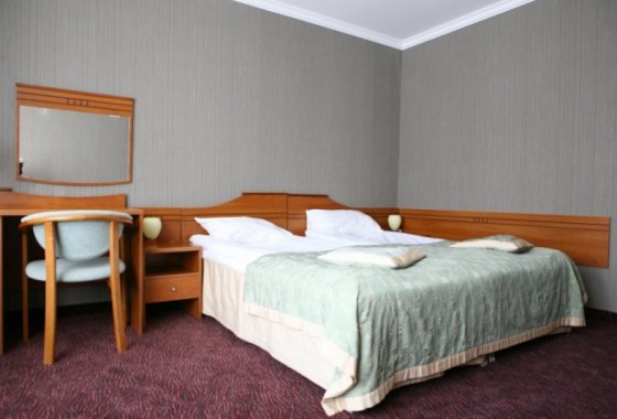 hotel *** - Hotel Złoty Młyn*** - Pokoje - zdjęcie 3