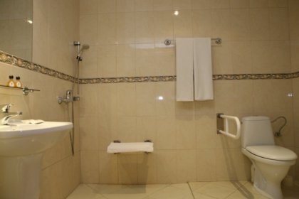 hotel *** - Hotel Złoty Młyn*** - zdjęcie 8