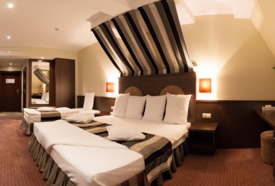 hotel *** - Hotel na Półboru - Pokoje - zdjęcie 2