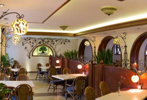 hotel *** - Hotel na Półboru - Usługi - zdjęcie 10