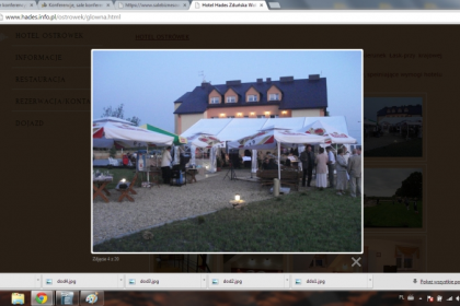 hotel *** - Hotel Hades Ostrówek - zdjęcie 2
