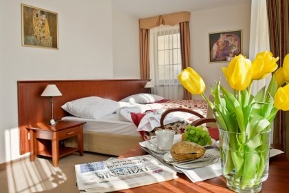hotel *** - Hotel Dworek*** - zdjęcie 4