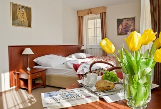 hotel *** - Hotel Dworek*** - Pokoje - zdjęcie 1
