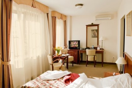 hotel *** - Hotel Dworek*** - zdjęcie 5
