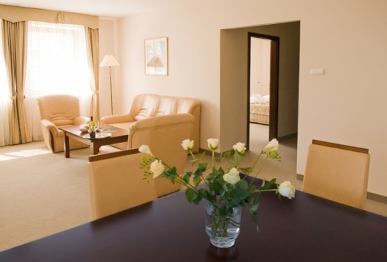 hotel *** - Hotel Dworek*** - Pokoje - zdjęcie 3