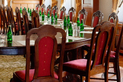 hotel **** - Hotel Pałac Czarny Las - zdjęcie 9