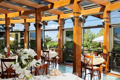 hotel **** - Hotel Pałac Czarny Las - zdjęcie 16