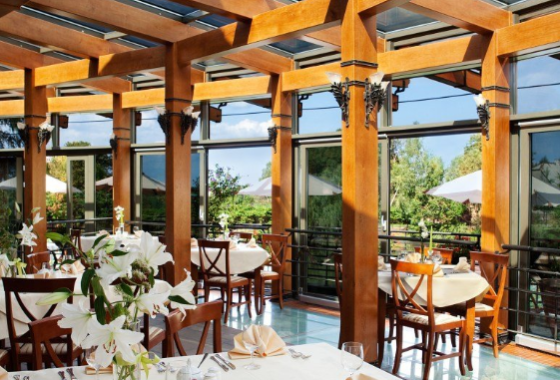 hotel **** - Hotel Pałac Czarny Las - Usługi - zdjęcie 2