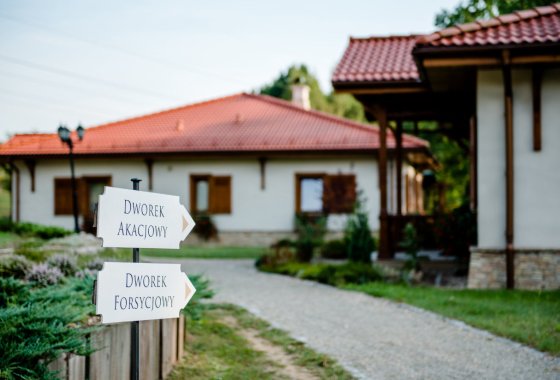 hotel **** - Hotel Pałac Czarny Las - Usługi - zdjęcie 3