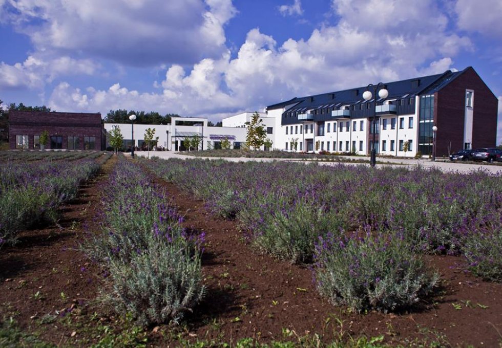 hotel **** - Medical SPA Hotel Lawendowe Termy ****