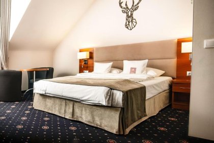 hotel **** - Park Hotel Łysoń**** - zdjęcie 9