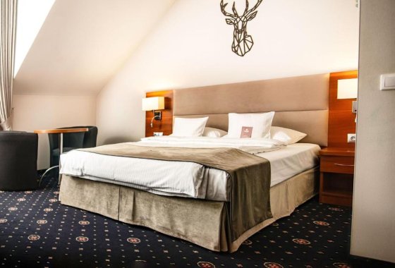 hotel **** - Park Hotel Łysoń**** - Pokoje - zdjęcie 7
