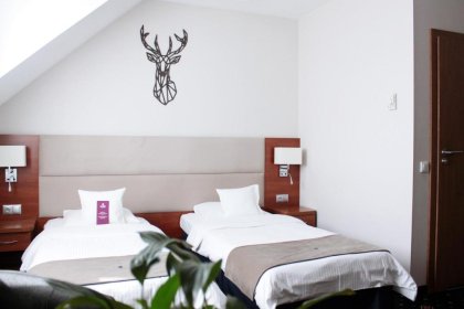 hotel **** - Park Hotel Łysoń**** - zdjęcie 3