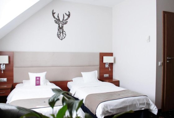 hotel **** - Park Hotel Łysoń**** - Pokoje - zdjęcie 1