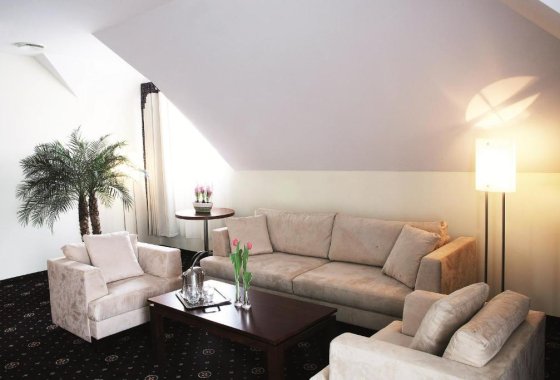hotel **** - Park Hotel Łysoń**** - Pokoje - zdjęcie 3