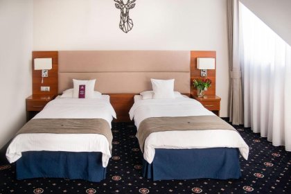 hotel **** - Park Hotel Łysoń**** - zdjęcie 6
