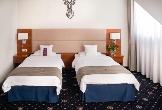 hotel **** - Park Hotel Łysoń**** - Pokoje - zdjęcie 4