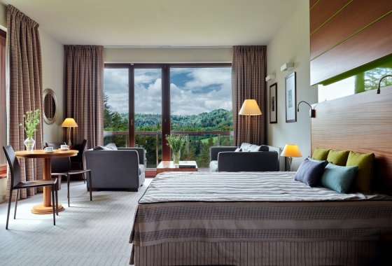 hotel **** - Hotel SPA Dr Irena Eris Krynica Zdrój 12+ - Pokoje - zdjęcie 1